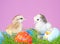 Two tiny easter chicks in grass