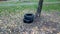 Two tires left in a park