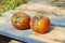 Two tomatoes damaged by rain and bad weather on a wooden pallet. ruined crop. selective focus