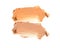 Two tone colors of make up base foundation.