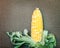 Two tone of sweet Corn on retro brown wickerwork background