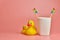 Two toothbrush and bathroom duck toys. LGBT personal care concept. Protect oral cavity, remove plaque and tartar