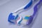 Two toothbrushes on a white background next to the toothpaste. healthy and clean teeth concept, dentistry