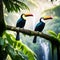 Two Toucan Tropical Birds Sitting on a Tree Branch in Natural Wildlife Environment in Rainforest Jungle