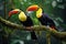 Two toucans sitting on a branch in the rainforest, toucan tropical bird sitting on a tree branch in natural wildlife environment,