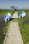 Two tour boats at dock in marsh areas of Lake Naivasha, Great Rift Valley, Kenya, Africa