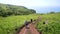 Two tourists walk along a dirt road among green meadows.