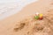 Two toy cars left children on the beach