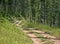 Two-track hiking narrow dirt road trekking