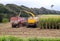 Two tractors collecting the wheat fields