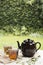 two transparent mug herbal tea with teapot table garden