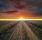 Two travelers go into the sunset distance along a field dirt road