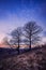 Two trees against blue sky on a December morning with hoar frost