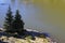 Two trees on the shores of Lac Achard