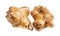 Two tubers of jerusalem artichoke sunroot cutout