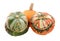 Two Turks turban squash with a small orange pumpkin