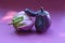 Two ugly eggplant on a paper purple background. Organic vegetable Solanum melongena. Conscious eating concept.