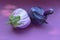 Two ugly eggplant on a paper purple background. Organic vegetable Solanum melongena. Conscious eating concept