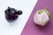 Two ugly eggplants on a contrasting white and purple paper background. Organic vegetable Solanum melongena. Conscious eating