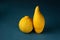 Two ugly lemons in a row on a dark blue textured background. Lumpy and elongated. Closeup. The concept is food waste reduction.