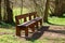 Two unused wooden benches next to each other in the park