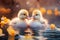 Two utterly adorable ducklings are swimming in a pond
