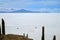 Two van running on the pure white Salar de Uyuni, world`s largest salt flats view from Isla Incahuasi rock formation, Bolivia