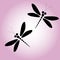 Two vector black dragonflies on the pink background