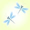 Two vector blue dragonflies on the soft yellow background