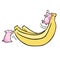 Two vector funny cartoon pigs and banana