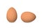 Two vector realistic brown eggs.