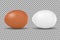 Two vector realistic chicken white and brown eggs. Isolated eggs for easter on transparent background.