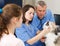 Two veterinarians inspecting dog