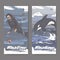 Two vintage colol banners with scuba diver and jumping whale sketch. Maritime adveture series.