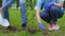 Two volunteers planting tree in park, nature conservation, reforestation project