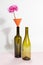 Two wacky glass bottles on a bicolor background