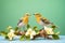 two warblers in courtship among jasmine flowers