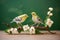 two warblers in courtship among jasmine flowers