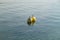 Two water buoys floating in the water one white the other yellow plastic remains hang on the yellow buoy during the day in good