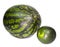 Two water-melons of various grades - big and dwarfish