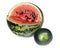 Two water-melons of various grades - big and dwarfish,small depth of sharpness, focus on a crust of a big water-melon