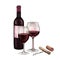 Two watercolor glasses of red wine, dark bottle, cork and corkscrew