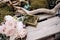 Two wedding dress with a mirrored jewelry box on wooden boards with a bouquet of pink roses and driftwood.