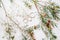 Two wedding rings for the bride and groom and the bride`s engagement ring on a white background with sprigs with flowers