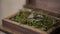 Two wedding rings lie in a wooden casket on green vegetation.