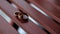 Two wedding rings lie on wooden table in day time.