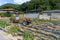 Two-wheel tractor or walking tractor connected to the truck Trailer is on the chillies paddy field in the South Korea