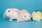 Two white decorative fold rabbits and flowers