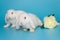 Two white decorative fold rabbits and flowers