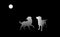 Two white dogs and a moon